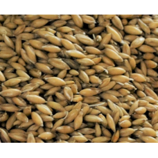 Big O - Malted Oats (6.40 per kg)