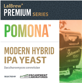Pomona Hybrid IPA Yeast  11g