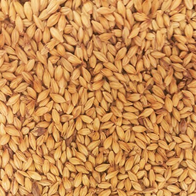 Maris Otter ($5.80 per kg)