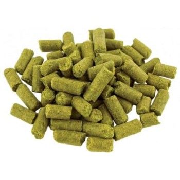 Challenger UK Hops 100g pack