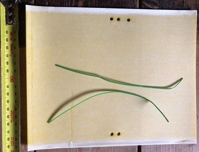 2 x Citrus gall wasp and insect trap - double sided sticky paper