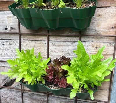 Vertical wall garden planter pot