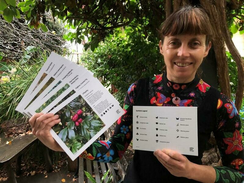 Bush food plant ID signs, from