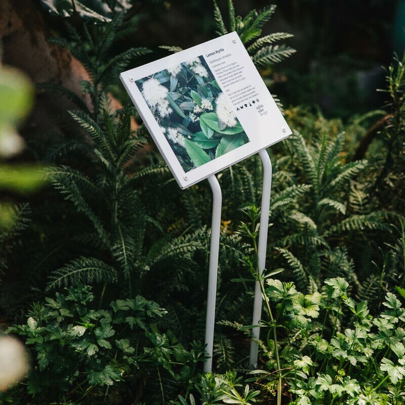 Bush Food Plant ID Signs - Metal