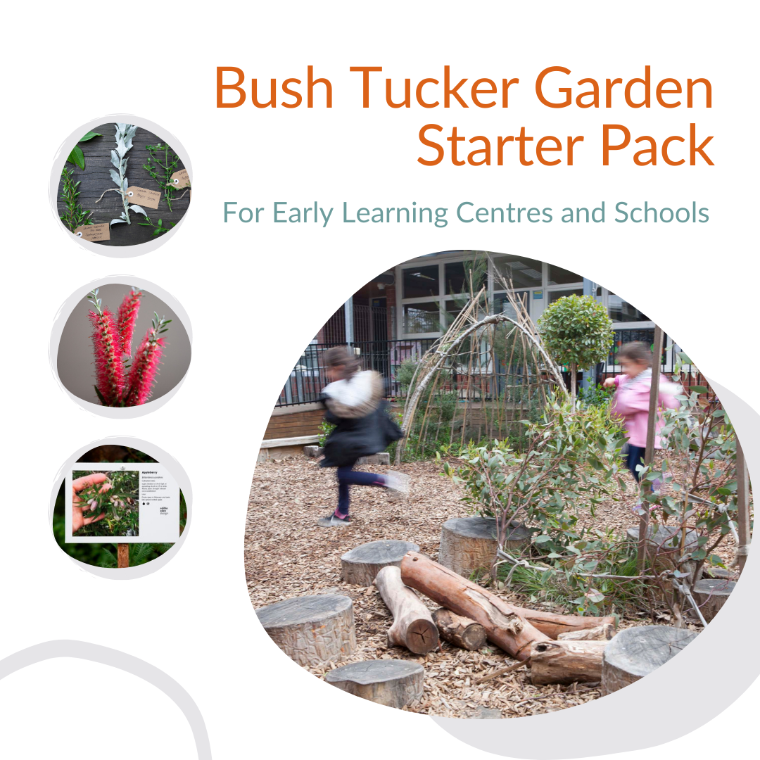 Bush Tucker Garden Starter Pack For Early Learning Centres and Schools