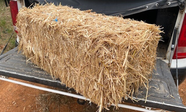 Bulk - 3 x Oaten straw, clean rectangular bales Bulk - 3 x Oaten straw, clean rectangular bales