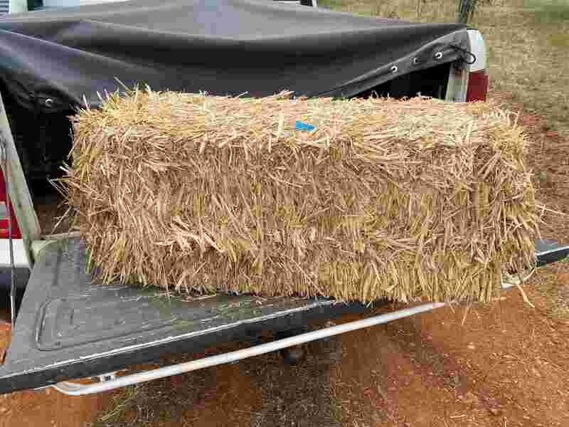 Bulk - 3 x Oaten straw, clean rectangular bales