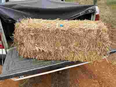Bulk - 3 x Oaten straw, clean rectangular bales