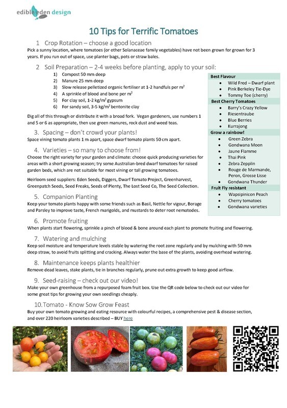 Top 10 Tips for Terrific Tomatoes