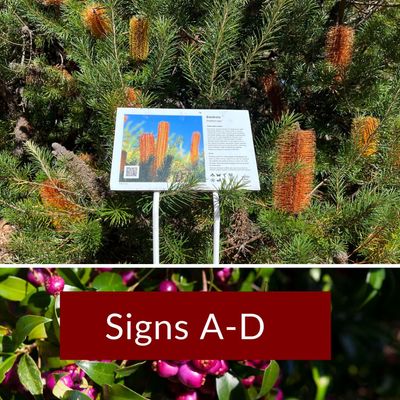 Signs A-D