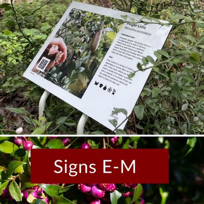 Signs E-M
