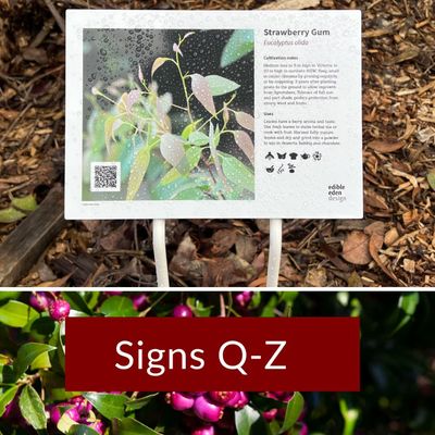 Signs Q-Z
