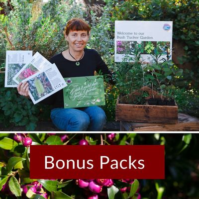 Bonus Packs