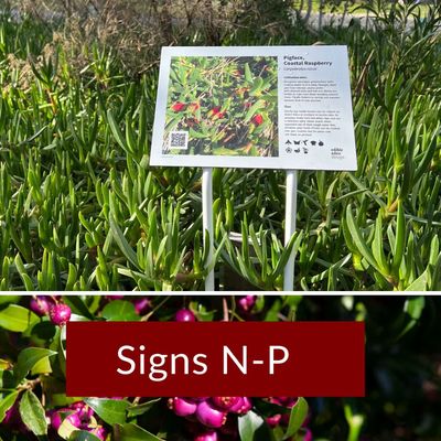 Signs N-P
