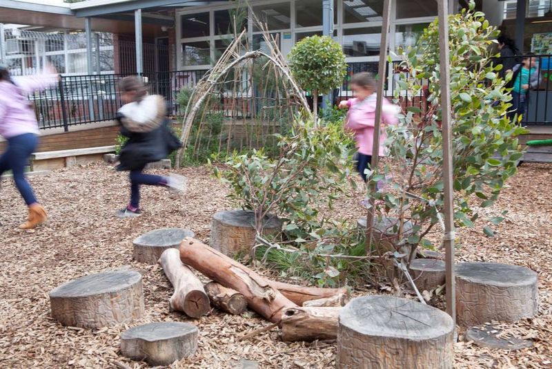 Bush Tucker Garden Starter Pack For Early Learning Centres and Schools