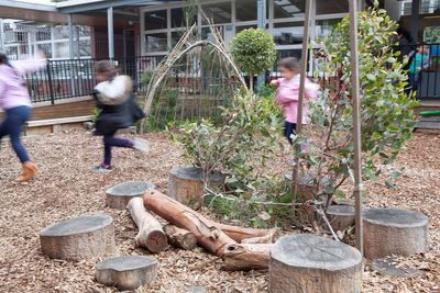 Bush Tucker Garden Starter Pack For Early Learning Centres and Schools