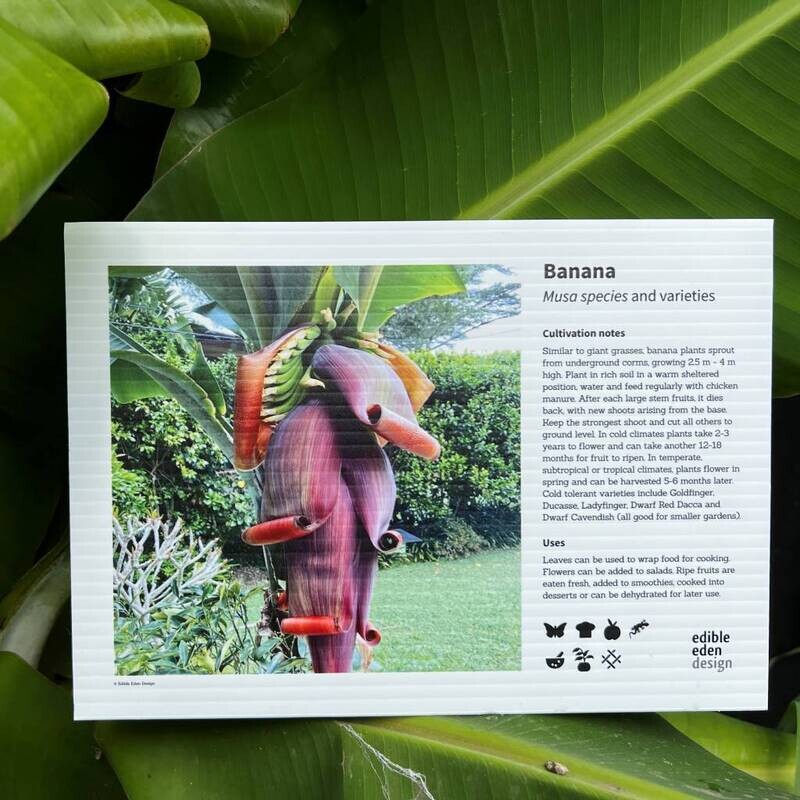 Community and Kitchen Garden Plant ID Signs
