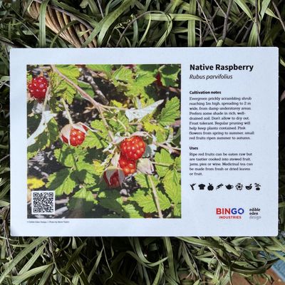 New Plant ID Sign - Bespoke/Customisable
