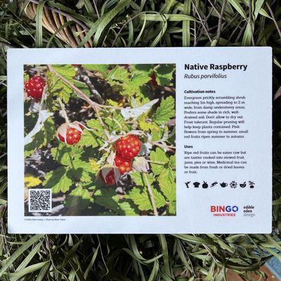New Plant ID Sign - Bespoke/Customisable