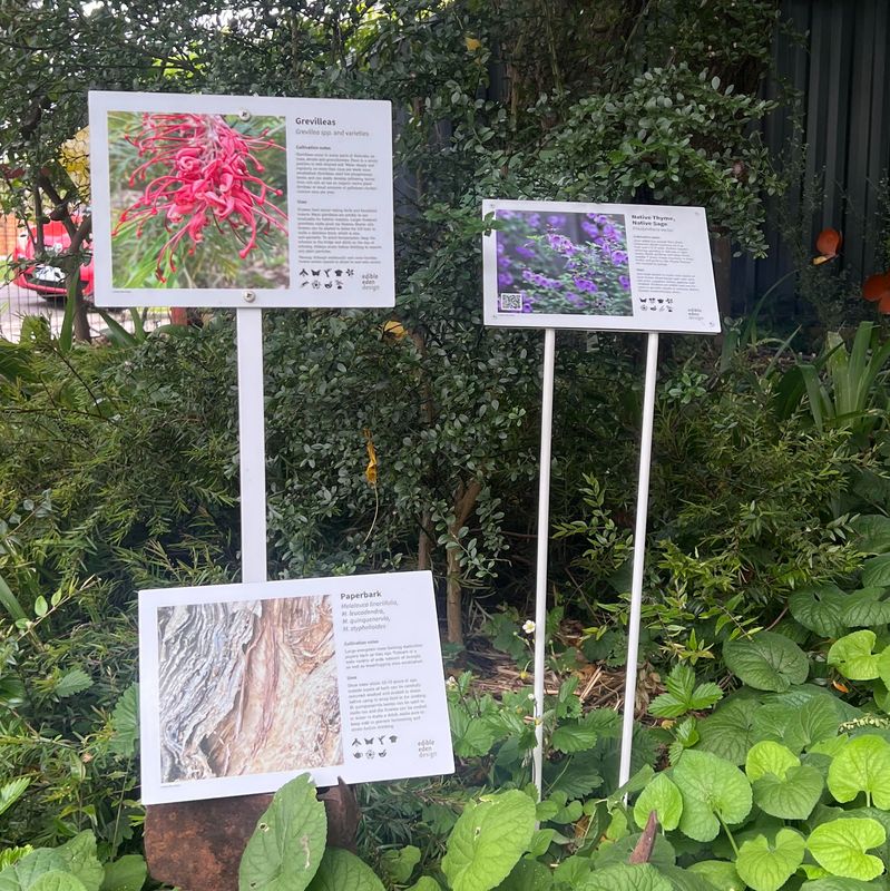 Bush Tucker Plant ID Interpretive Sign  - Stakes optional