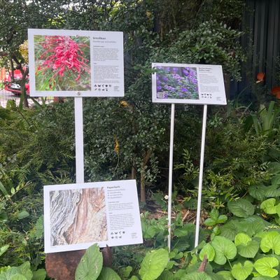 Bush Tucker Plant ID Interpretive Sign  - Stakes optional