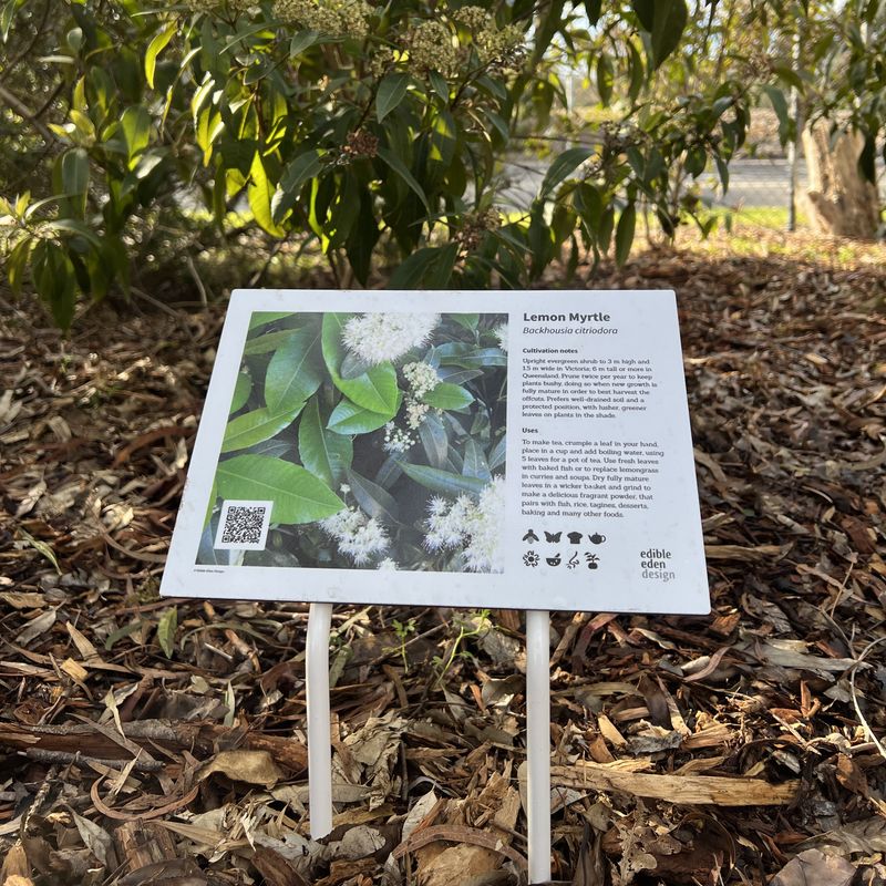 Lemon Myrtle - Bush Food Plant ID Interpretive Sign