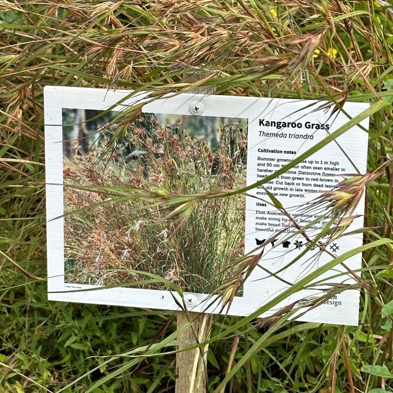 Habitat Plant ID Interpretive Sign