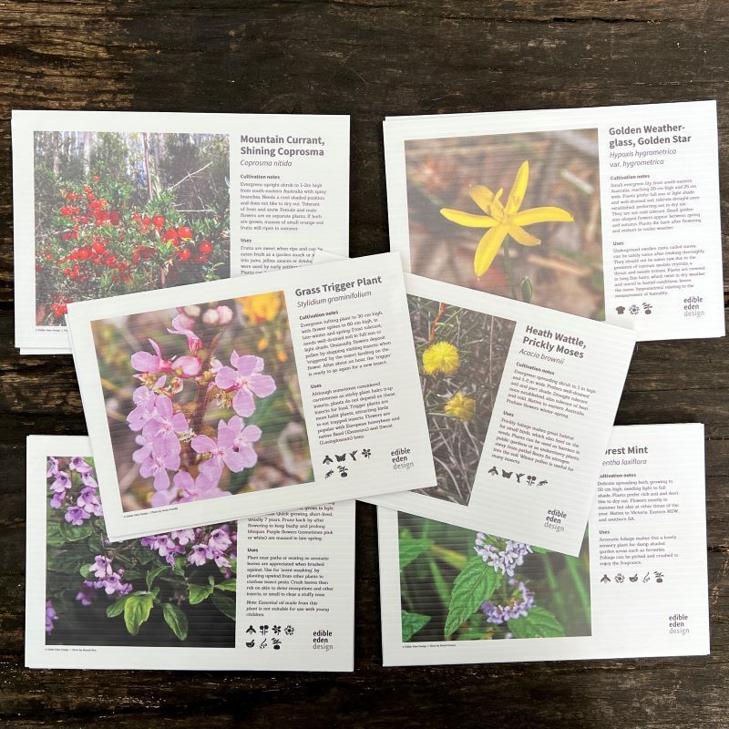 Habitat Plant ID Interpretive Sign