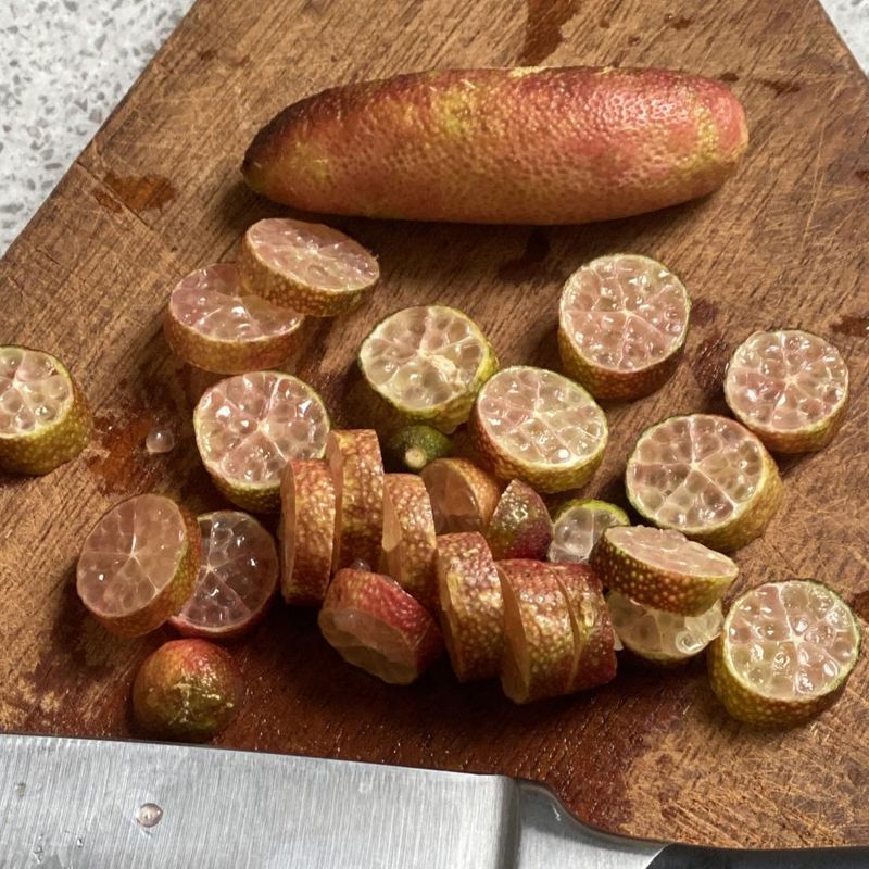 Finger Lime- Bush Food Plant ID Interpretive Sign