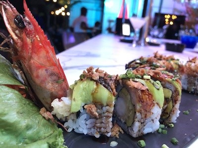 DRAGON REVENGE /6 pcs