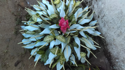 WREATH B