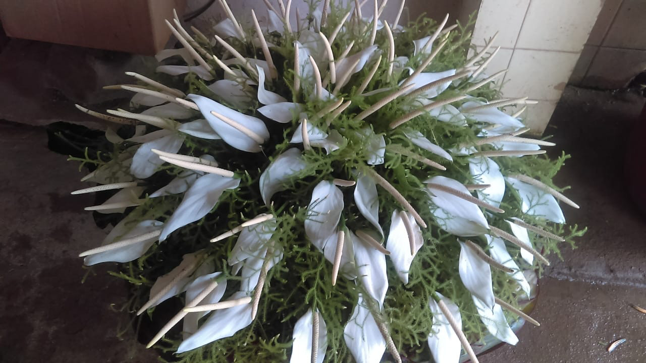WREATH D