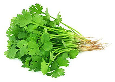 Cilantro/Coriander