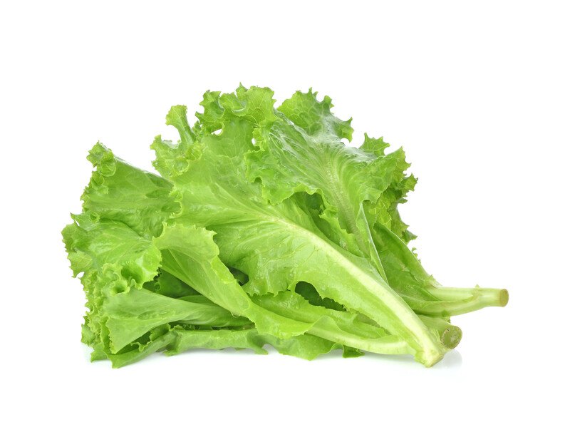 Lettuce