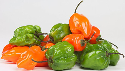 Liberian Pepper