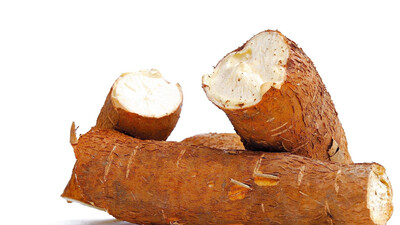 Cassava