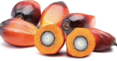 Palm Nut