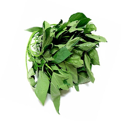 Bitter Leaf