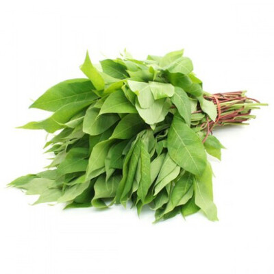 Cassava Leaf