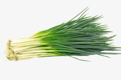 Scallion