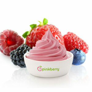 WILD BERRY FROZEN YOGURT/P