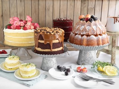 LAYER &amp; MOUSSE CAKES
