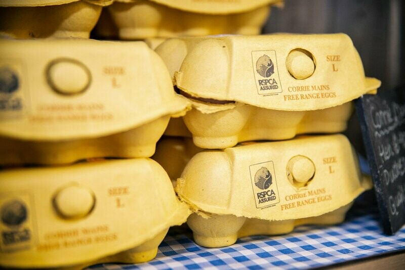 Corriemains Free Range Eggs