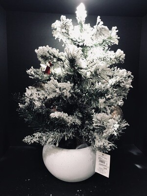 Albero piccolo innevato