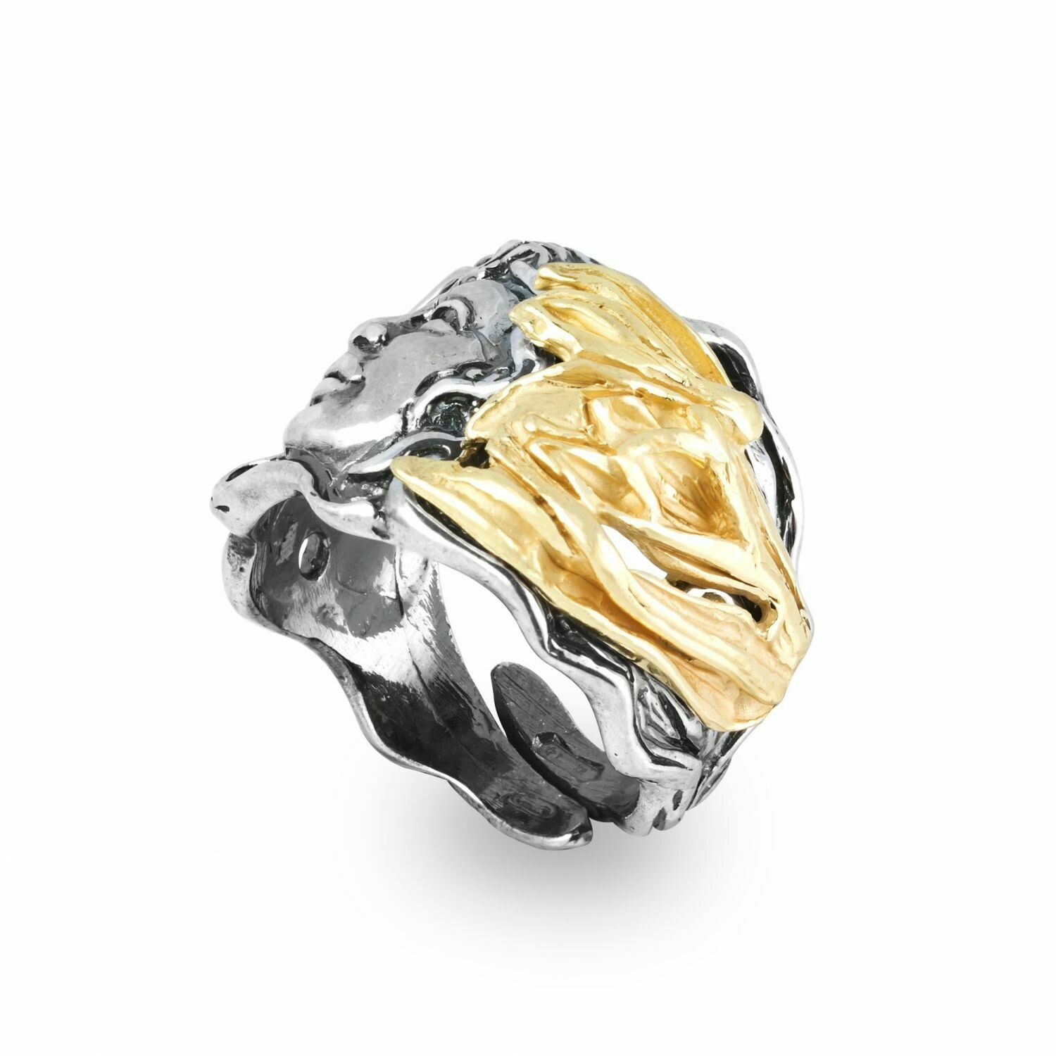 Anello Mesi - Gennaio