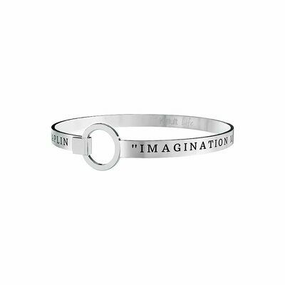 IMAGINATION MEANS NOTHING … C. CHAPLIN