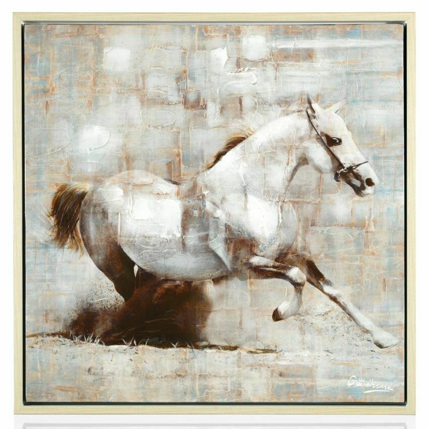 Quadro"cavallo bianco"cm80x80-superficie lucid