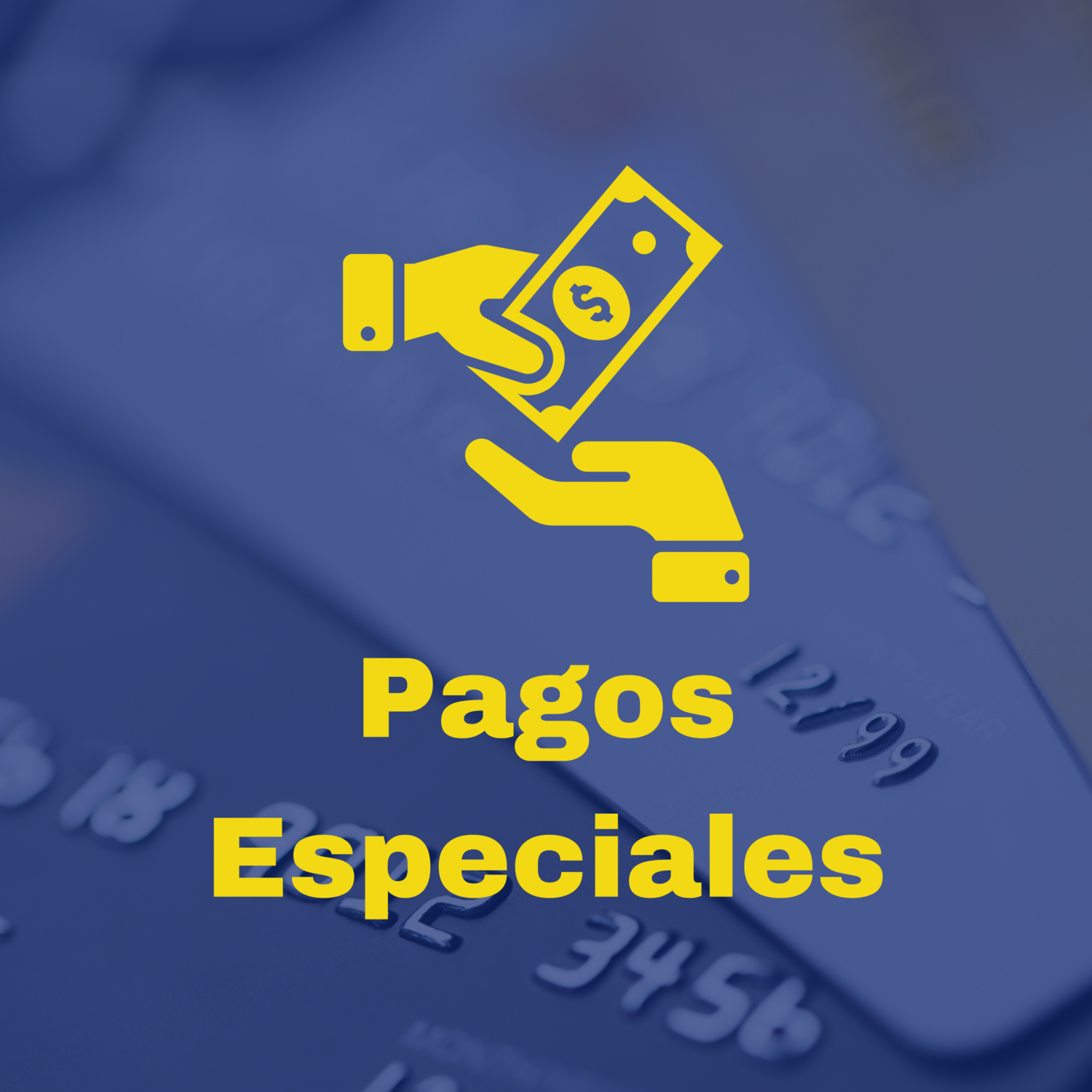 Pagos Especiales