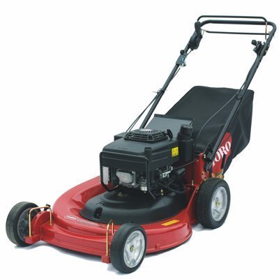 Toro