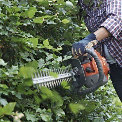 Hedge Trimmers & Cutters